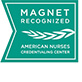 Magnet Nursing Recognition Logo